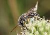 223401 – Photo : Jean-Sébastien Carteron – France (12)